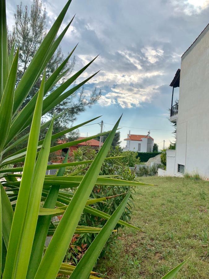 Summer Luxury Villa With Sea View Metamorfosi  Exterior photo