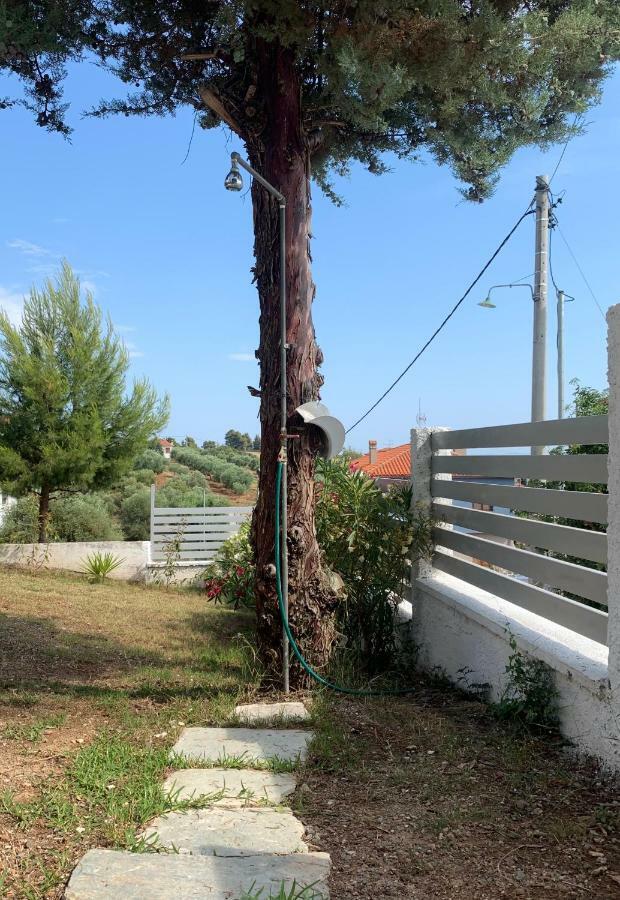 Summer Luxury Villa With Sea View Metamorfosi  Exterior photo